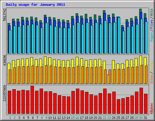 Daily usage for January 2011