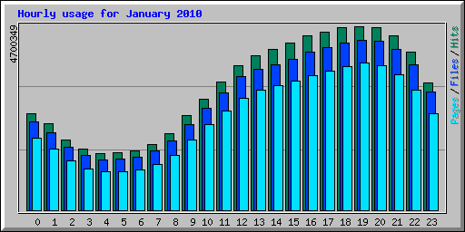 Hourly usage for January 2010