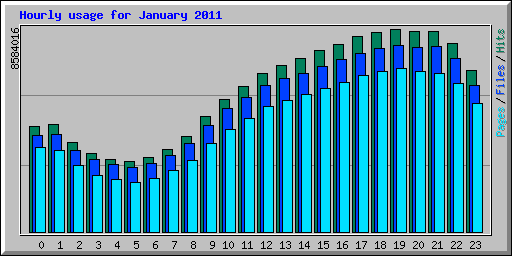Hourly usage for January 2011